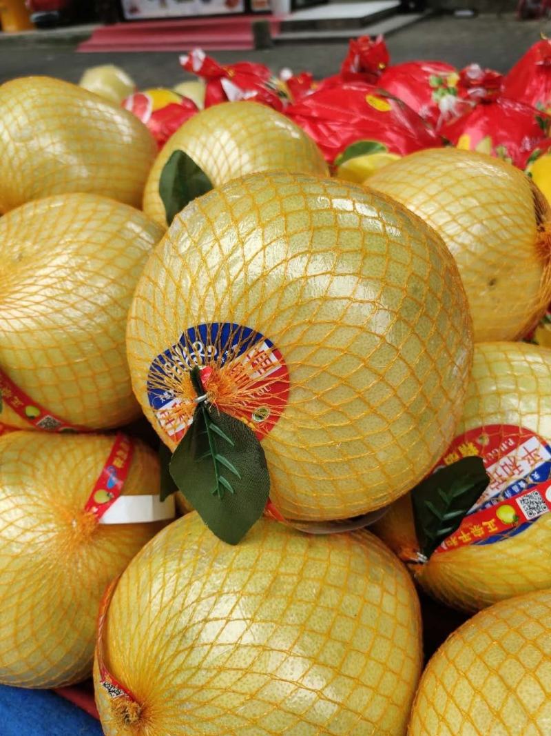 湖北宜昌西陵區白心蜜柚 產地直供，品質優價格美